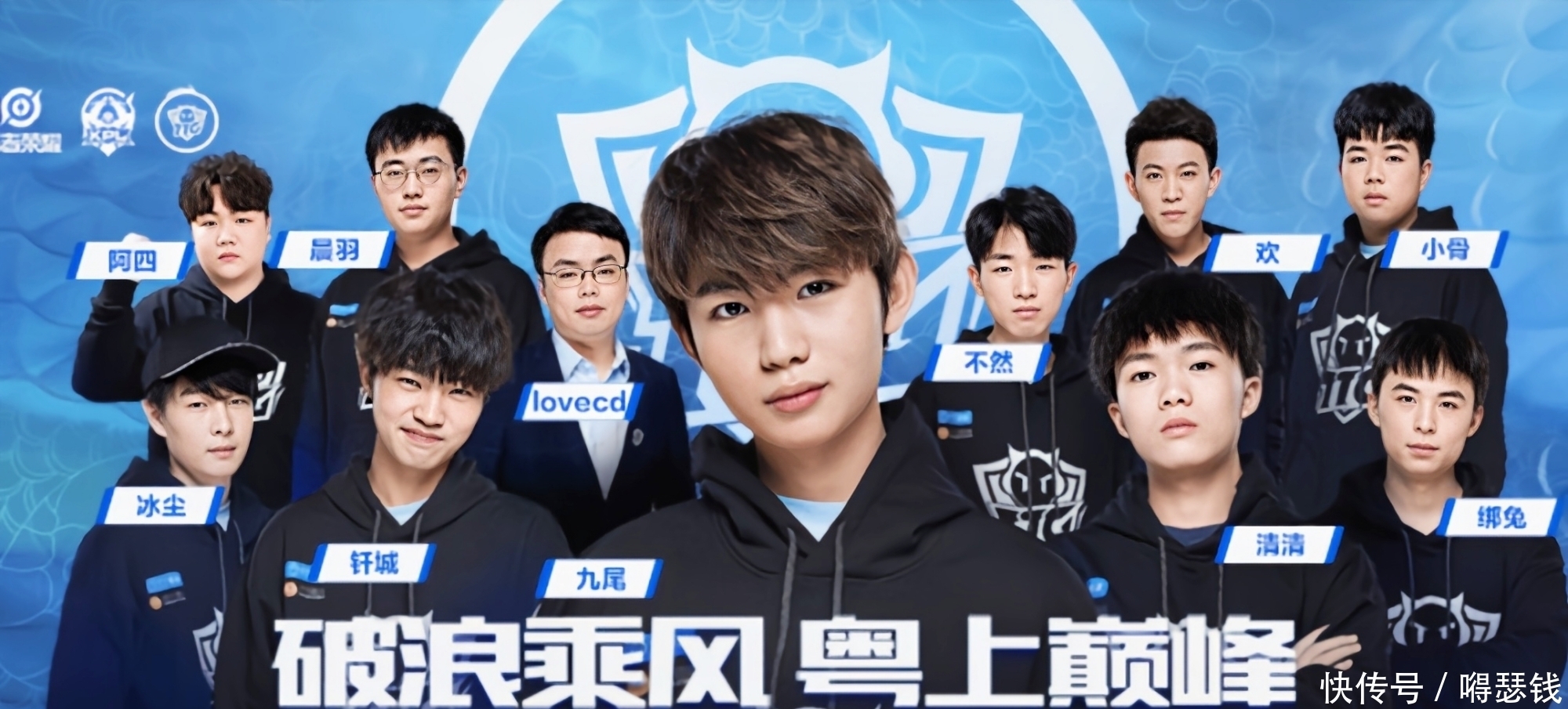 科尔的观点