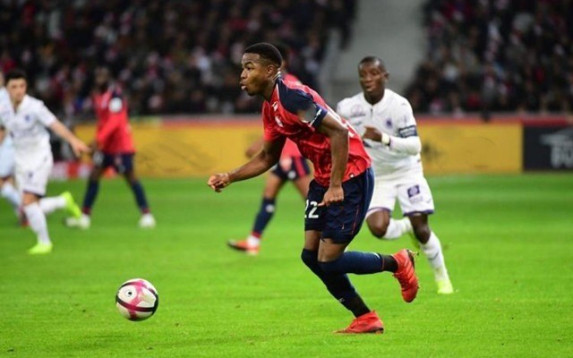 师争议的焦 师争议的焦