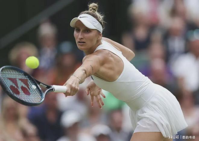 中国国际象 中国国际象